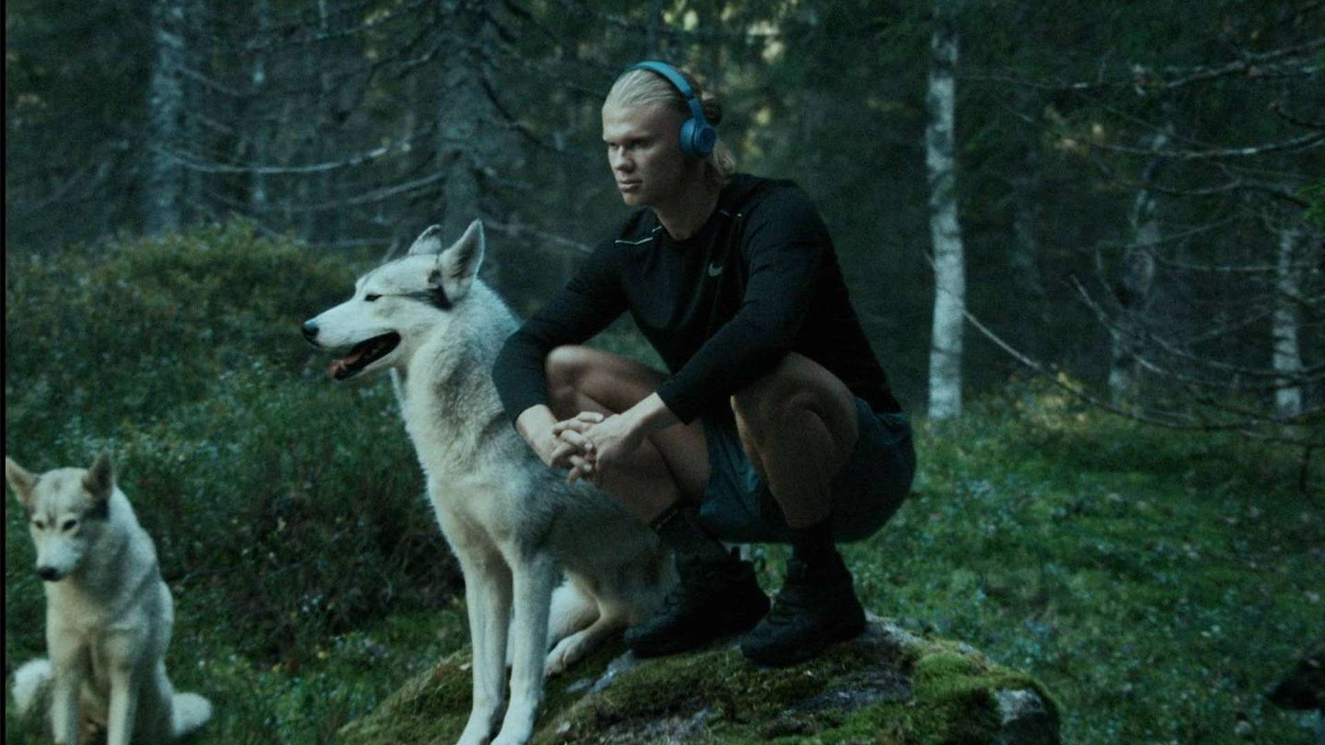 生代球員的 生代球員的