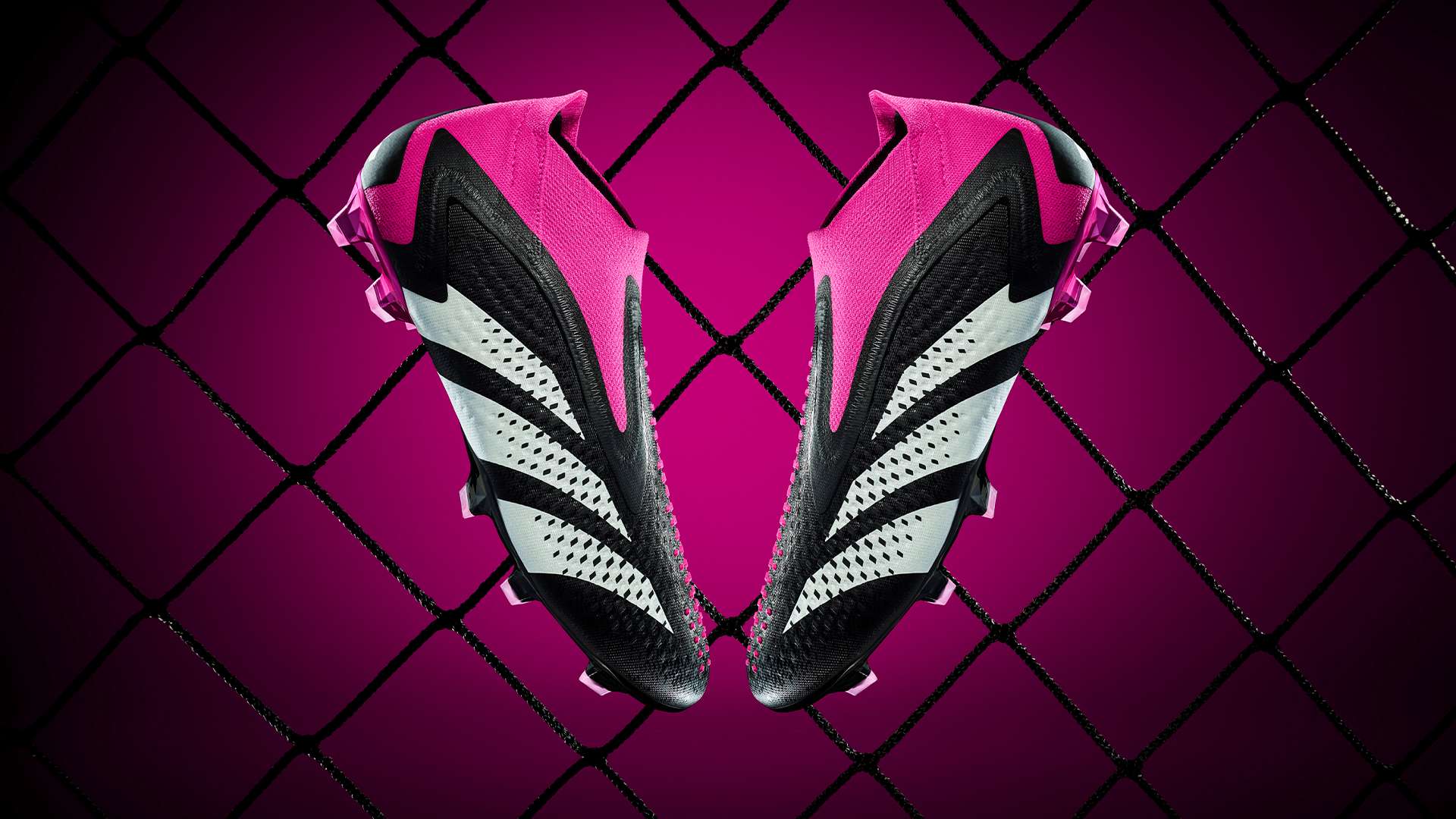 状态来看 状态来看